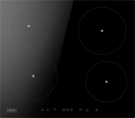 Induktionsfeld Reparatur Bad Salzungen